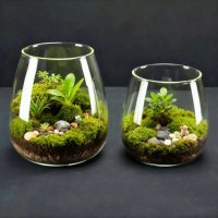 Micro Landscape Moss Ecological Bottle Glass Vase Creative Gift Valentine's Day Gift Valentine's Day