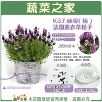 【蔬菜之家】K38.絲帶( 紫 )法國薰衣草種子 (共2種包裝可選)