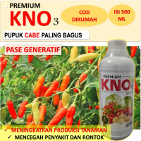 PUPUK KNO 3 PUPUK CABE TERBAGUS AMPUH DAPAT MEMPERBANYAK TANAMAN CABE