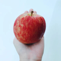 【水果達人】嚴選大顆 紐西蘭蜜蘋果12顆* 1盒(250g/顆)