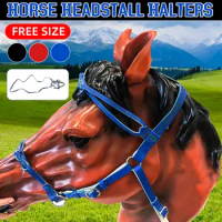 Gallop Padded Leather Flash Bridle with Rubber Reins Shetland Pony Cob Horse