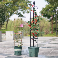 植物花卉爬藤架包塑圓柱花架盆栽月季玫瑰支架U型歐式固定支撐桿