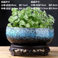 陶瓷銅錢草水培睡蓮一葉蓮碗蓮金錢草水養專用盆缸無孔大