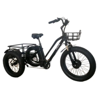 /20' inch fat tire 3 wheel electric bicycle three wheels adult cargo bike with basket