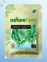 Naturefarm - Benih Kailan Jepang Super No. 1 F1 Hibrida