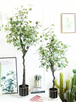 北歐風仿真金錢葉綠植盆栽尤加利大型客廳室內落地綠色假植物盆景