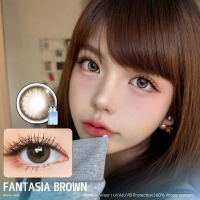คอนแทคเลนส์ ขนาดมินิ Fantasia ( ilens )Brown/Gray