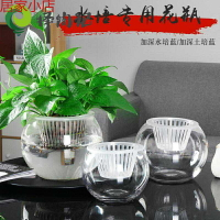 透明水培花盆花瓶植物擺件水培植物玻璃瓶容器水養盆栽器皿綠蘿