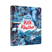 Usborne Look inside Wild Weather English 3D Flap Picture Book Natural Weather Science Children Reading Cardboard Books