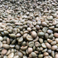 Green bean /biji kopi mentah robusta grade 1(biji kopi pilihan)
