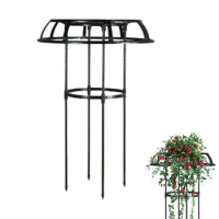 Umbrella-Shaped Clematis Trellis Outdoor Steel Garden Trellis for Climbing Flowers Tall Plant Support Free Standing Garden