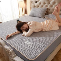 Summer Ice Cool Latex Mat Cartoon Bed Folding Mattress Pad Mat Air Conditioner Sheet Bedspread and Pillowcase Cold Sleeping Mat