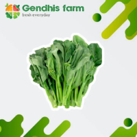 Gendhis Farm - Kailan Hijau Segar (±250 g/ikat)