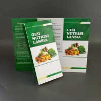 Leaflet Gizi Lansia Full Color – Media Penyuluhan Kesehatan Nutrisi Usia Lanjut