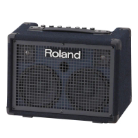 【ROLAND 樂蘭】KC-220 30W 鍵盤音箱(鍵盤音箱 喇叭 攜帶型 可裝電池)