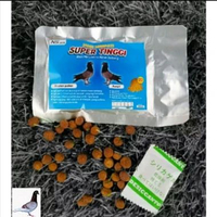 doping jamu merpati tinggian