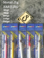 Umpan JIGGING Metal JIG Fast Jig