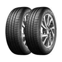 【GOODYEAR 固特異】Assurance Duraplus2 舒適耐磨輪胎_二入組_205/55/16(ADP2)