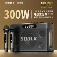 {台灣公司貨 可打統編}SODLK聲萊客柏林之聲大音量藍牙音箱樂器便攜戶外K歌音響重低音炮