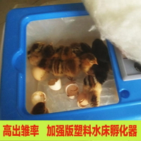 伊科貝特孵化機全自動家用型20枚48枚雞鴨鵝水床孵化器箱孵蛋器 雙十二購物節