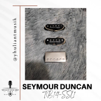 Seymour Duncan TB14 & SSL1 HSS set