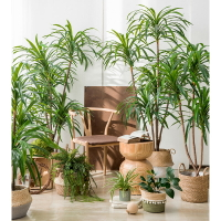 仿真植物裝飾七彩鐵千年木龍血樹假盆栽服裝店綠植櫥窗造景擺件