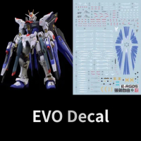 EVO Decal RG-14 for RG14 1/144 STRIKE FREEDOM Assembly Model Fluorescent Water Stickers for Model Hobby DIY Accessories