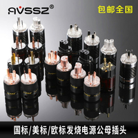 包郵發燒hifi電源插頭美標國標歐標美規220v紫銅鍍金碳纖diy影院