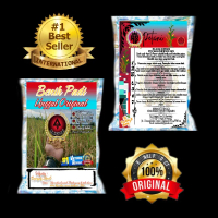 Benih Padi Ciherang Zero Janger Kualitas super premium kemasan 1KG bibit pohpohan bidara Daun Tanama
