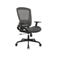 Mesh Office Chair,Ergonomic Computer Desk Chair,Sturdy Task Chair- Adjustable Lumbar Support &amp; Armrests, (Grey)