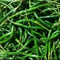 cabe hijau keriting 1kg