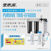 EVERPURE愛惠浦 櫥下型 PURVIVE Trio-EF6000大流量不鏽鋼龍頭三道式生飲淨水器(前置樹脂+中空絲膜)