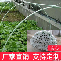 【可開發票】大棚膜 拱桿 農用拱棚支架撐桿小暖房玻纖棒防雪農業塑料桿溫室二棚2米4米長竿