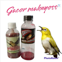 Paket Red zomo voer burung pleci & DEXTRO 87 PLECI