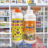 (ชุด2ขวด) ปุ๋ยน้ำฟอสเวย์ 8-24-24 ขนาด1 ลิตร ส่งเสริมการออกดอก+โฟแมกซ์ สังกะสี 700 โซตัส 1 ลิตร (Phom