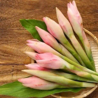 Bunga kecombrang/combrang fressh 1kg berkualitas