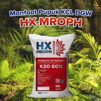 PRTN Pupuk KCL DGW HX MROPH K2O Kalium 60% 5KG GV528PROMO SPECIAL