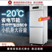 【高品質超低價】兩門商用冰箱雙門冷凍冷藏2門冰柜保鮮廚房酒店飯店二門立式冷柜
