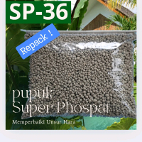 Pupuk Super Phospat SP-36