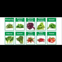 jual paket 10 bibit benih sayuran /tanaman sayur murah