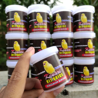 vitamin penggacor kenari vit voice untuk burung kenari macet bunyi