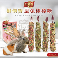 Vitapol 鼠兔棒棒糖45g 綜合水果 蔬菜 爆米花 蘋果 倉鼠/兔子點心 兔子棒棒糖 鼠棒棒《亞米屋Yamiya》