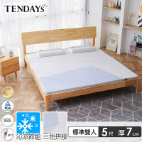 【TENDAYS】包浩斯紓壓床墊5尺標準雙人(7cm厚 記憶床)-買床送枕
