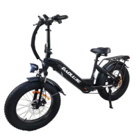 20 Inch Foldable Bicycle 500w48V12Ah Long Range Electric Bike Shimano 7-Speed JF