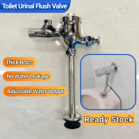 Urinal Flush Valve Toilet Bowl Auto Self Close Manual Button Type Exposed Valve 100% Brass Bathroom