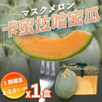 （溫室農場快速出貨）卡蜜拉橘肉哈密瓜中果1入禮盒
