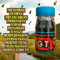 JAMU HERBAL GINGSENG PLUS ISI 100 BUTIR extrak gingseng teki purwoceng pasak bumi herbal rempah remp