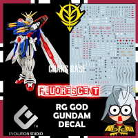 EVO DECAL RG GOD  DECAL FLUORESCENT DECAL