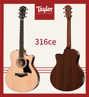 【非凡樂器】Taylor 【316ce】 /美國知名品牌電木吉他/公司貨/全新未拆箱/加贈原廠背帶/公司貨保固