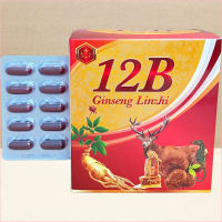 chất liệu tốt 12B Ginseng Linzhi Đỏ - Hà Nội - Vinaphar - Vitamin Chữa Lành
